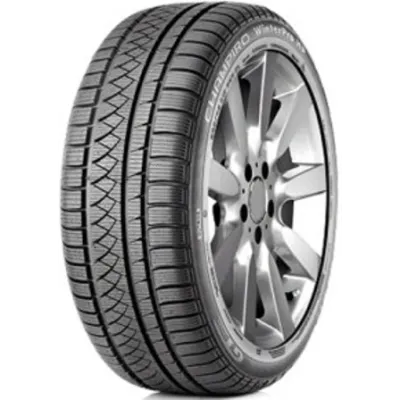 GT-Radial CHAMPIRO WinterPro HP 255/50 R019 107V M+S