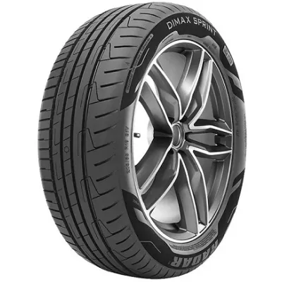 Radar DIMAX SPRINT EVC 205/60 R016 96V