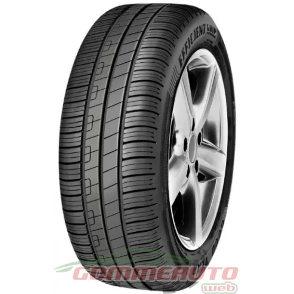 Goodyear EFFICIENTGRIP PERFOR 205/55 R16 91V (FIAT)