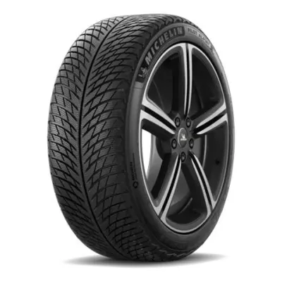 Michelin PILOT ALPIN 5 ND0 XL 315/35 R020 110V M+S