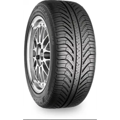 Michelin P.SPORT A/S + 255/45 R19 100V