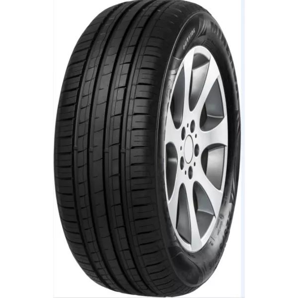 Minerva F209 205/55 R16 91V