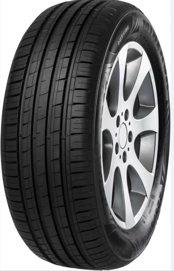 Minerva F209 205/55 R15 88V