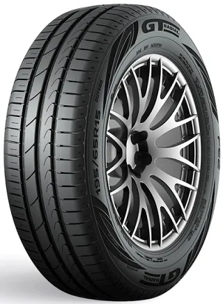 GT-Radial  205/55 R16 91W