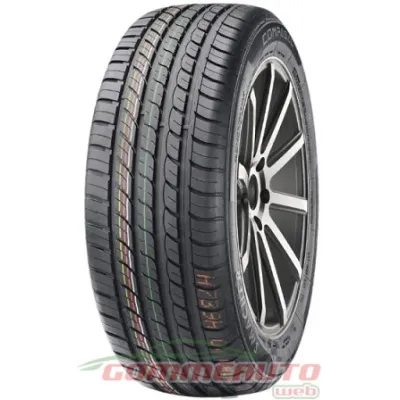 Compasal  205/55 R17 95W (m+s)