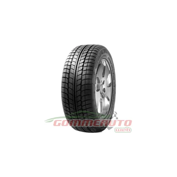 Dunlop WINTER 195/65 R015 95T M+S