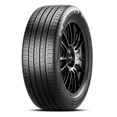 Pirelli SCORPION MS 0/50 R22 116H