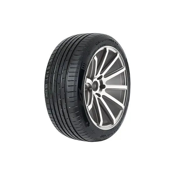 Lanvigator CATCHPOWER EV 255/45 R20 105W