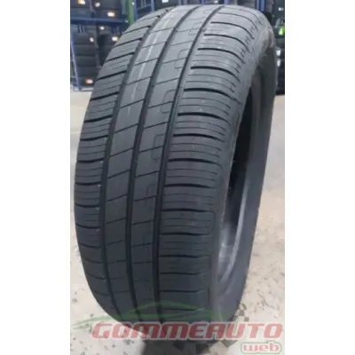 Goodyear EFFICIENTGRIP PERFOR 205/55 R17 91V