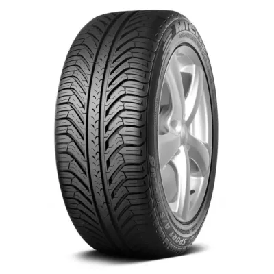 Michelin PILOT SPORT A/S PLUS 295/35 R20 105V (N0)
