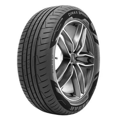 Radar DIMAX SPRINT EVC 205/55 R16 91V