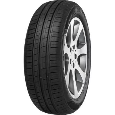 Minerva 209 165/65 R14 79T