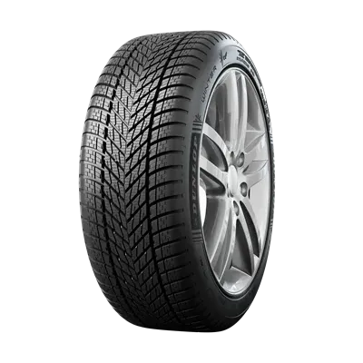 Dunlop WINTER 225/45 R17 91H