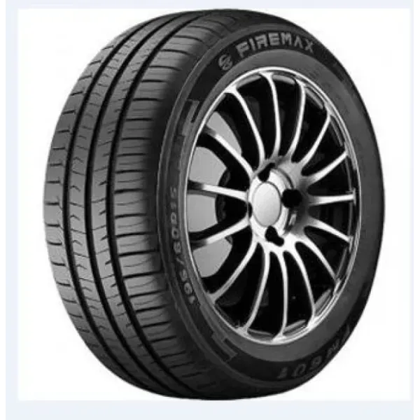 Firemax FM601 225/55 R16 99W