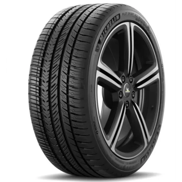 Michelin P.SPORT A/S 4 295/40 R021 111V